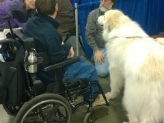 WP_20150116_10_38_21_Pro