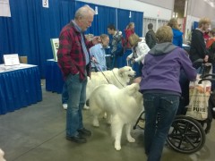 WP_20150116_10_57_28_Pro