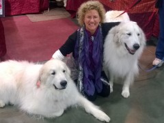 WP_20150116_11_36_24_Pro