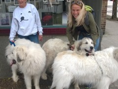 WP_20140614_11_41_25_Pro