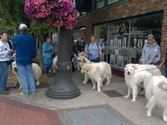 WP_20140614_12_23_22_Pro