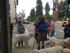 WP_20140614_12_29_25_Pro