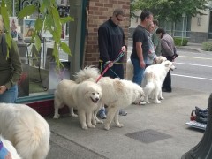 WP_20140614_12_32_36_Pro