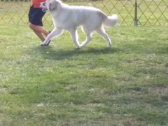 Lee & Rainy Vallejo Specialty