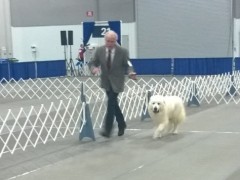 WP_20150116_08_37_12_Pro