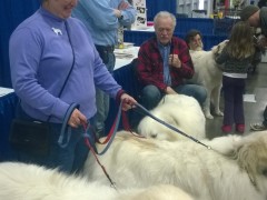 WP_20150116_10_16_47_Pro