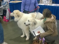 WP_20150116_10_17_31_Pro