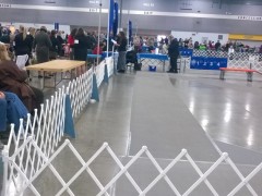 WP_20150116_10_31_57_Pro