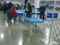 WP_20150116_10_32_35_Pro