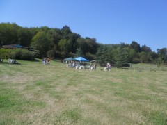 DSCN1349