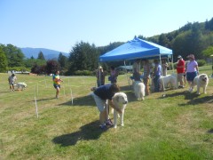 DSCN1361