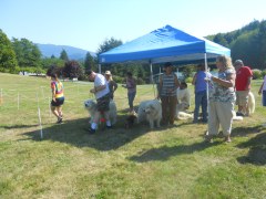 DSCN1369