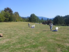 DSCN1389