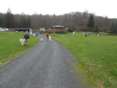 DSCN1025.jpg