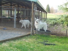 DSCN1039.jpg