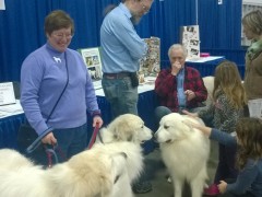 WP_20150116_10_16_38_Pro - Copy