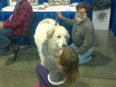 WP_20150116_10_17_05_Pro