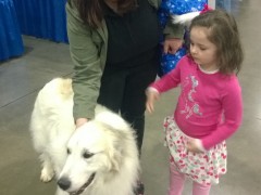 WP_20150116_10_38_48_Pro