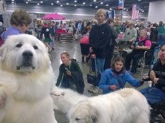 WP_20150116_10_56_38_Pro