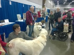 WP_20150116_10_57_00_Pro