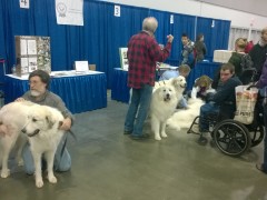 WP_20150116_10_57_09_Pro