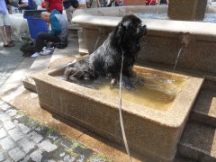 DSCN1107