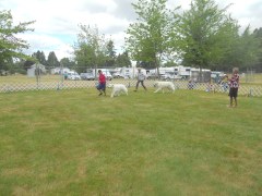 DSCN1267