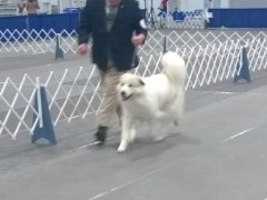 WP_20150116_08_37_16_Pro