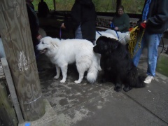 DSCN1058.jpg