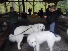 DSCN1068.jpg