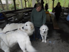 DSCN1075.jpg