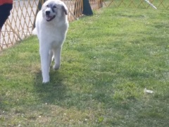 Lee & Rainy Vallejo Spec 1