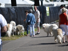 DSC_1299[1]