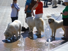 DSC_1304[1]