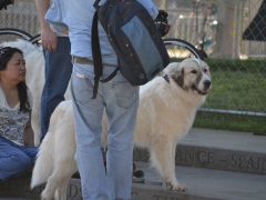 DSC_1307[1]