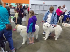 KODAK Digital Still Camera