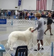 FB_20170225_21_39_51_Saved_Picture