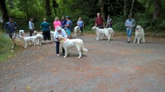 WP_20170909_11_50_06_Pro