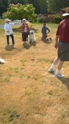 WP_20170909_12_41_20_Pro