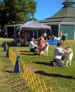 WP_20170902_10_21_22_Pro