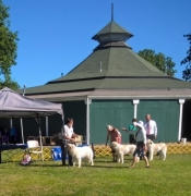 WP_20170902_10_22_02_Pro