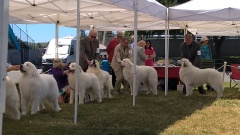 WP_20170520_11_13_34_Pro