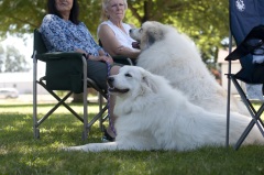 Canby Specialty Show 201711