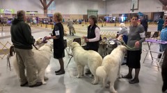 WP_20171117_10_14_19_Pro