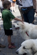 2018 Pyr Walk11