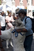 2018 Pyr Walk14