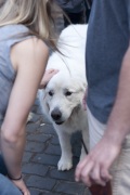 2018 Pyr Walk15