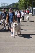 2018 Pyr Walk2
