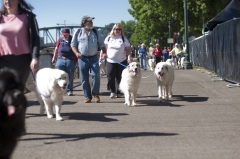 2018 Pyr Walk3