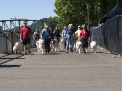 2018 Pyr Walk5